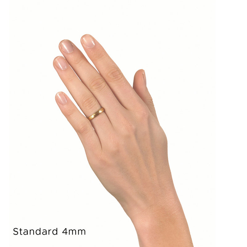 Silver and Gold RIng (Japanese)