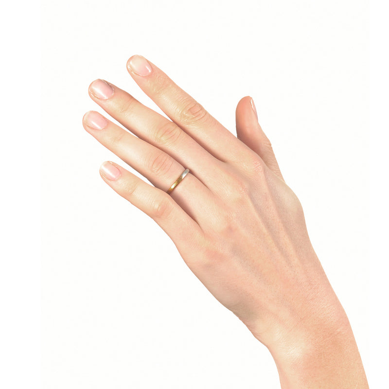 2mm Quadrant Ring